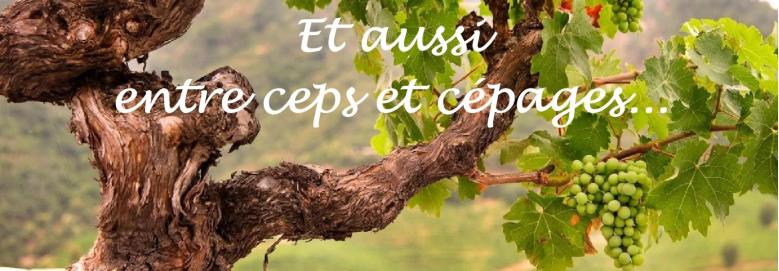 Aussi ceps