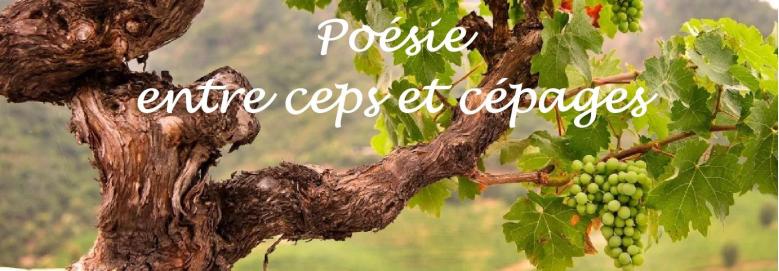 Poesie ceps